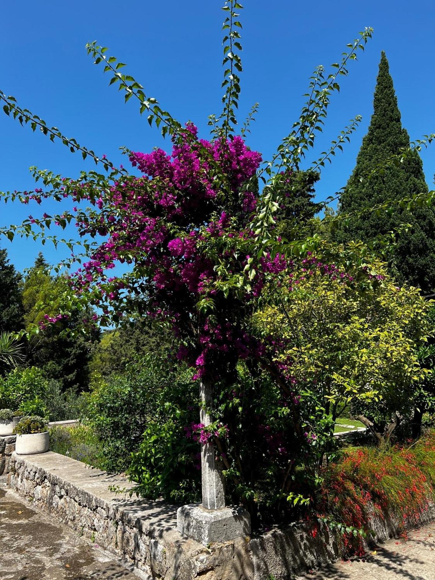 Lili Mar, 2-bedroom With Private Parking * Dubrovník